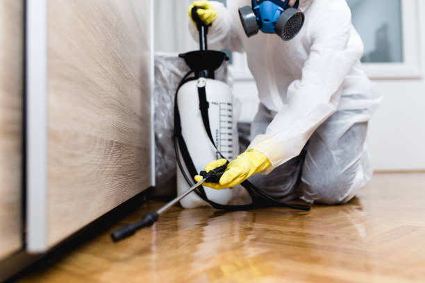 Wildlife Control Services in Randallstown, MD