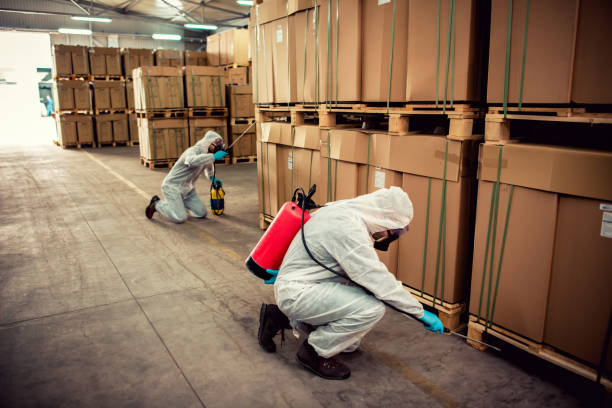 Best Emergency Pest Control  in Randallstown, MD