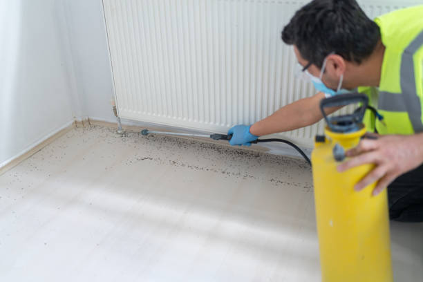 Best Pest Removal Services  in Randallstown, MD